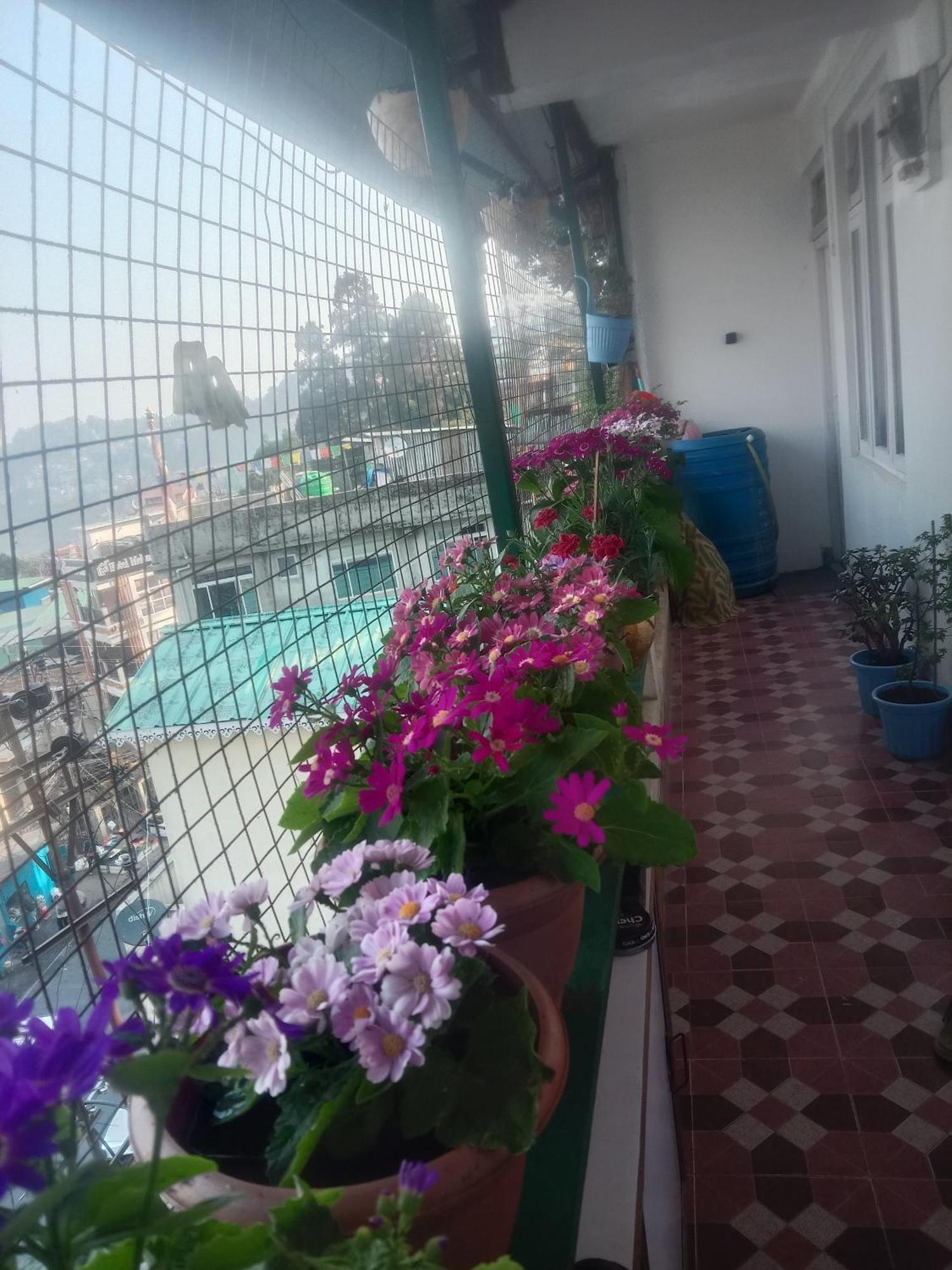 Beverly Hills Home Stay Darjeeling  Luaran gambar